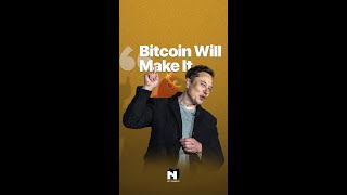 "Bitcoin Will Pump" - Elon Musk