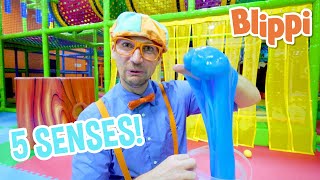 Learn Five Senses With Blippi at The Indoor Kids Playground | Educational Videos For Toddlers