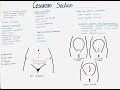 Cesarean Section - Types, Indications, Incisions etc