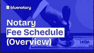 Notary Pro Fee Structure | BlueNotary