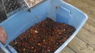 Top Notch Pecan Cracker