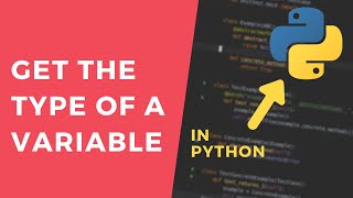 Get the Type of a Variable - 1 Minute Python Tutorial #shorts
