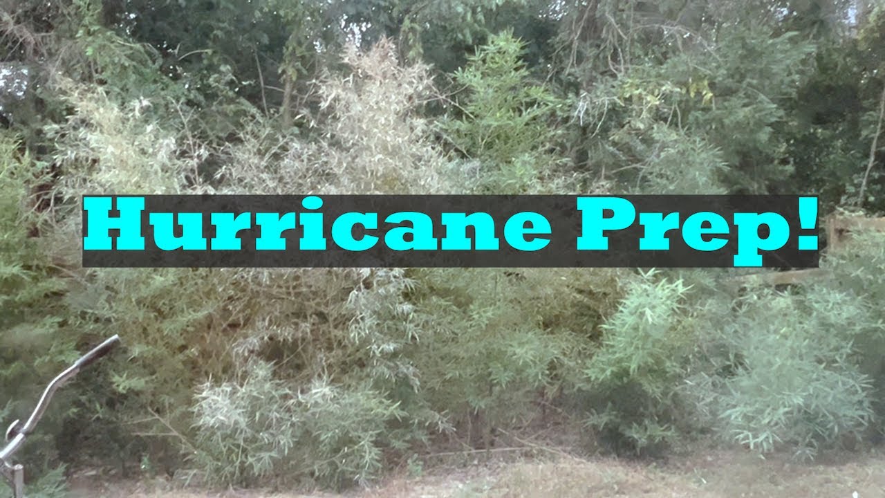 Hurricane Prep Vlog - YouTube