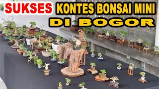 Sukses, Kontes Bonsai Mini Berhadiah Uang Tunai Di Bogor, Pertama Di Indonesia