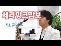 체리핑크맘보 Cherry pink and apple blossom white (James Last) 색소폰연주 안태건