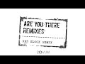 Josh Wink - Are You There (Ben Klock Remix)