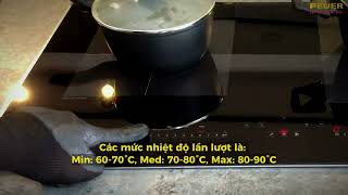 Hướng dẫn sử dụng bếp từ F58 | Feuer