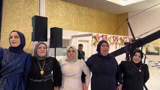 @aynkef Omuz show Mardin düğünleri Nurullah Ertuğrul (ADANA)