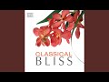 String Quartet No. 27 in D Major, Op. 20, No. 4, Hob.III:34: II. Un poco adagio e affetuoso