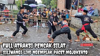 ATRAKSI PENCAK SILAT FULL ‼️ SILIWANGI LIVE NGEMPLAK PACET MOJOKERTO