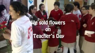 Community Problem Solving Presentation