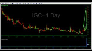 How to short sell - $7500 profit on IGC at Investors Underground