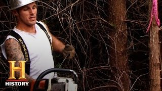 Ax Men: The Rygaard Cutters' Progress | History
