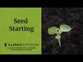 How to Start Seeds