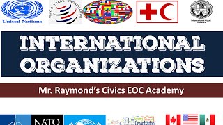International Organizations - 4.2 Governmental and NGOs - Benchmark Civics EOC