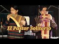 PANFLUTE | EL PASTOR SOLITARIO