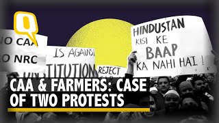 Anti-CAA & Farm Laws: How the Two Protests Are Different, Yet Similar | The Quint