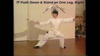 Tai Chi Chuan Yang Style 24 Form | Doc-Fai Wong