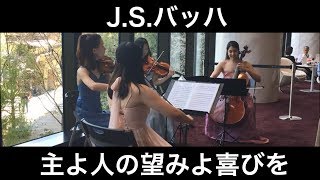 J.S.バッハ／主よ人の望みよ喜びを（弦楽四重奏） 朝♪クラ～Asa－Kura～