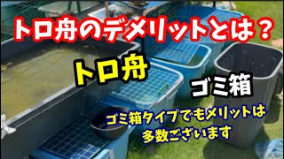 飼育容器にはそれぞれメリットとデメリットが必ずございます【メダカ】