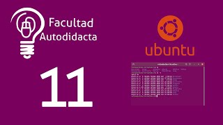 Curso de Linux desde cero | Linea de comandos (parte 5). Cap 11