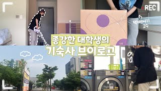 (SUB) 드디어 여름 방학이다 무야호😆🙌🏻 시험 끝난 에리카생은 종강하고 뭐하고 뭐할까?ㅣThe daily lives of Korean college students