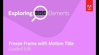 Exploring Elements: Freeze Frame Guided Edit with VidProMom