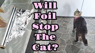 Does Foil Keep Cats Off Kitchen Counters❓