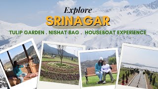 History of Tulip  II Nishat Bag II HouseBoat Experience II Srinagar, Kashmir in March,  2024