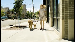2 Pups 1 Leash! Enjoy Tangle-Free Walks With Mighty Paw's Double Dog Leash!