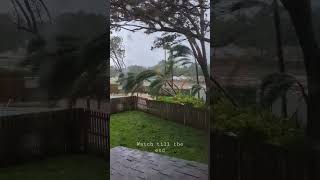 Hurricane Ian Crazy Winds In Tampa Part 2 Trees falling down Caught on Camera😬