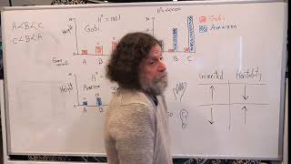8. Human Behavioral Biology: Behavioral Genetics 2 by Robert Sapolsky