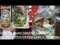 How to make Emerald green garlic or Delicious green LABA garlic in China