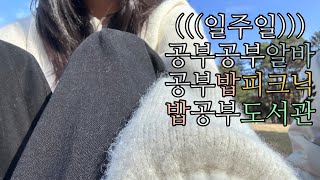 밥 공부 알바로 요약 가능한 일주일 브이로그🤓ㅣ공강 피크닉ㅣ한달만의 본가ㅣ가지덮밥,연어샐러드🥗,샌드위치🥪