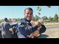 CHP officer holds sleeping baby moments after parents are involved in a crash