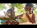 jamakayala Dongalu vaste / radha videos / జామకాయల దొంగలు / kittu comedy / Maa Village Show