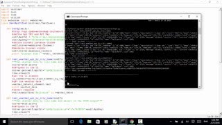 Selenium Python Webdriver Tutorial - REST API & UI Verification