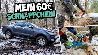 LOW BUDGET MOTORSÄGEN im VERGLEICH! | GEBRAUCHT und GÜNSTIG? | Ranger in seinem Element