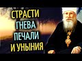 Гнев, обида, раздражение - это очень опасные страсти -  священноисповедник Николай (Могилевский)