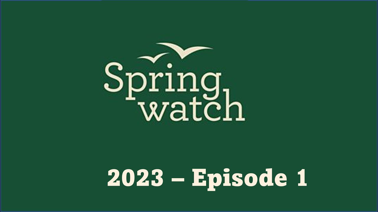 Springwatch 2023 Episode 1 Youtube