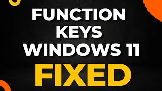 Function Keys Not Working Windows 11