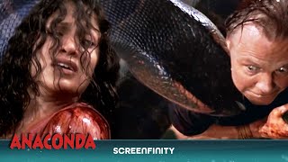 "Boat Takes A Deadly Turn" | Anaconda Nightmare: Battle for Survival! | Anaconda | Screenfinity