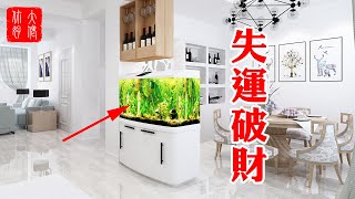 【家居風水】家裡魚缸的擺放風水禁忌！擺錯了失運破財，擺對了人財兩旺！