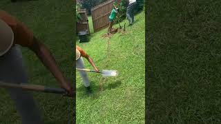 Creating a garden area on a slope. Our work in progress #garden #backyardgarden￼
