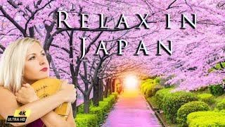 Relaxing Music 🗾 Beautiful Japan 🗾 Heavenly Harp Instrumental