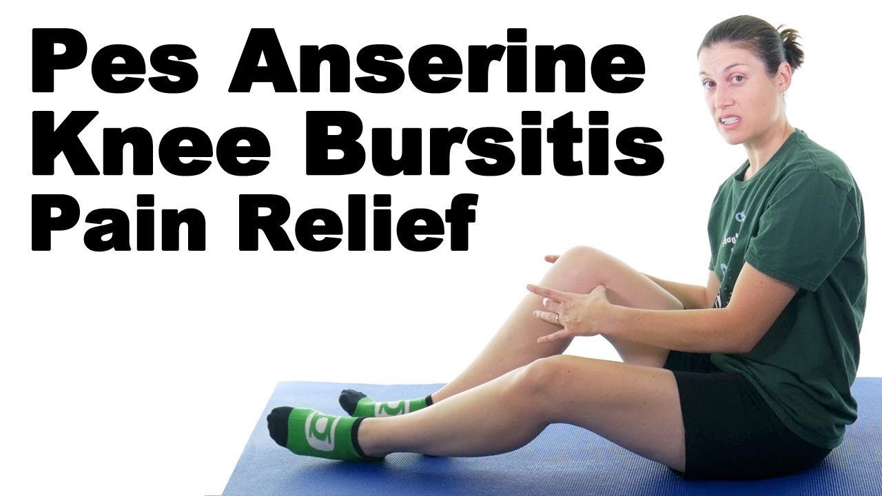 Pes Anserine Knee Bursitis Stretches & Exercises - Ask Doctor Jo - YouTube