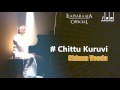 chittu kuruvi song chinna veedu tamil movie k. bhagyaraj ilaiyaraaja