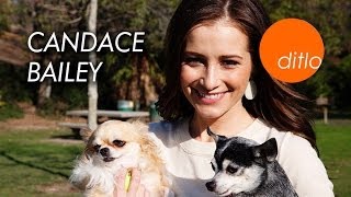Candace Bailey - ditlo