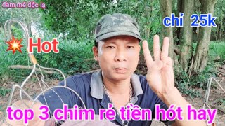 Top 3 Chim Rẻ Tiền Hót Hay | Cách Vào Cám Các Loại Chim Ăn Sâu | đam mê độc lạ