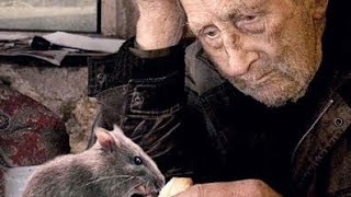 Rat Saves Man's Life After He Rescues Him From Cat